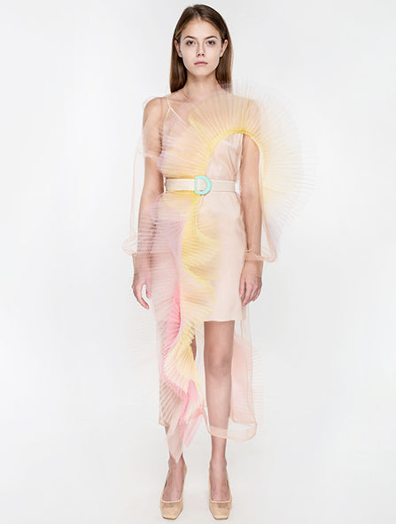 Sheer Dress