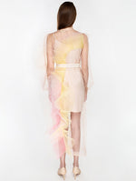 Sheer Dress